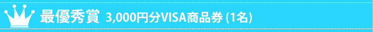 マイミシン フォトコンテスト 結果発表 3000円分VISA商品券