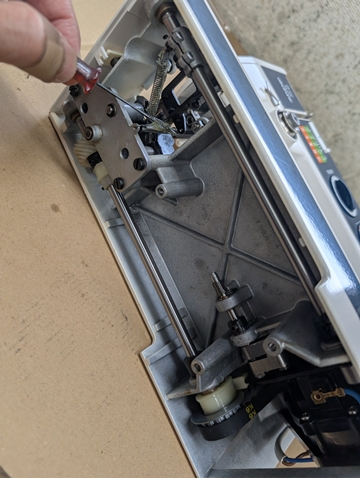 エルナロータス